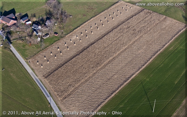 Aerial view of three stages of a corn harvest on an Amish farm - ready for harvest, cut, and bundled.