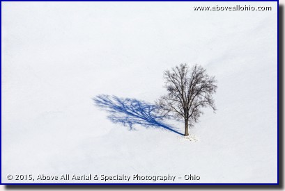 A winter view of a single tree in a snowy field somewhere in northeastern Ohio.